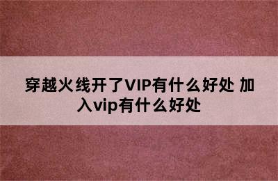 穿越火线开了VIP有什么好处 加入vip有什么好处